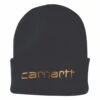 'Carhartt' Men's Insulated Cuffed Beanie - Black -Carhartt 104068 001 MF19 1024x1024@2x