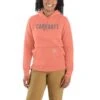 'Carhartt' Women's Relaxed Fit Midweight Graphic Hoodie - Hibiscus -Carhartt 105639 P19 WS22 b 1 1024x1024@2x