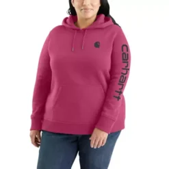 Women's Carhartt Clarksburg Graphic Sleeve Hoodie -Carhartt 19583607047 2