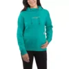 Women's Carhartt Force Relaxed Fit Lightweight Graphic Hoodie
