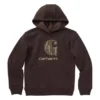 Boys' Carhartt Fleece Graphic Hoodie